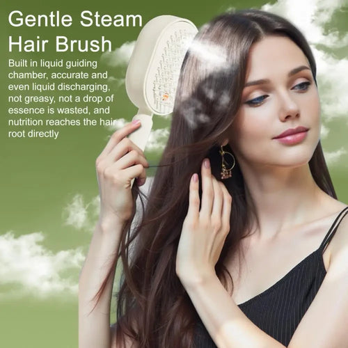Electric Misting Hair Brush