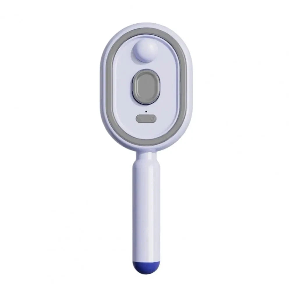 Electric Misting Hair Brush